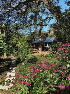 Midcentury Bungalow on Anastasia - 7