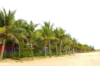 Anh Thư Villa Hồ Tràm - Xuyên Mộc - 9