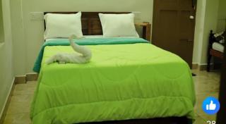 Jerusalem Homestay - 1