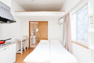 Ikebukuro Center! Ikebukuro 6min walk!池袋中心地带! 池袋车站步行6分!loft阁楼!公寓干湿分离! 智能马桶! 高速无限制网路! 103 - Tokyo - 7