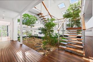 Pandanus - Agnes Water - 4