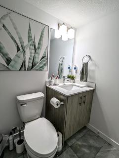 Basement Suite in Desrochers SW - Edmonton - 3