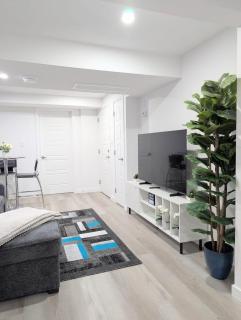 Basement Suite in Desrochers SW - 4