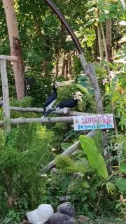 PhaluayCamping - 7