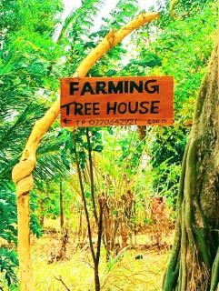 Farming Tree House - Sigiriya - 0