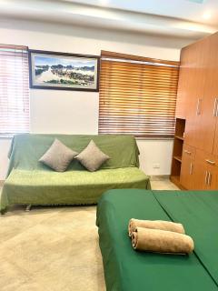 NaturalLight Apt near HNOperaHouse with Washer, Dryer and Free Netflix - 2