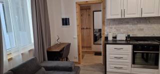 Old town luxury apartment - 9