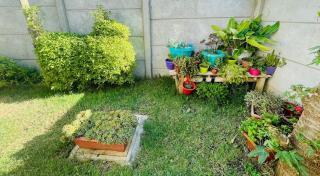 Apartamento en Playa Hermosa, Pichilemu - Pichilemu - 9
