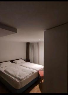 Hotel luzern engel-Pilatus - Hitzkirch - 5