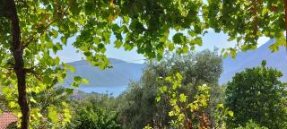 Tamaris apartments Risan - 7