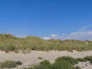 Seaside Serenity in Hummingen-By Traum - Dannemare - 2