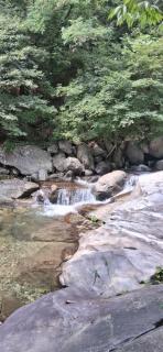 Green Bee Pension - 2