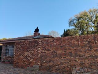 17BonSpey - Vereeniging - 5