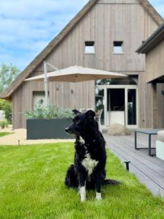 BunnyHuus Studio - Oberndorf - 8