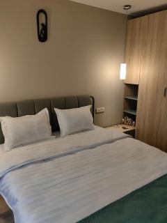 Alpine Dream Sinaia - 9