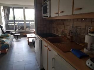 Studio avec vue sur la montagne à Villard de Lans - 34 m² - 5