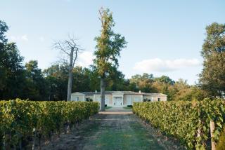 La Closerie des Vignes - Chatonnet Vineyards - 0