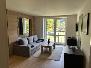 Apartmány Gryf Harrachov - Harrachov - 6