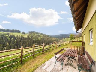 Berghütte in Sankt Andrä bei Koralpe - 4