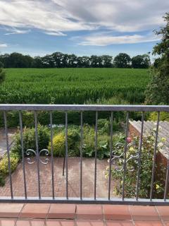 Ferienwohnung Berta 25508 - Weener - 7