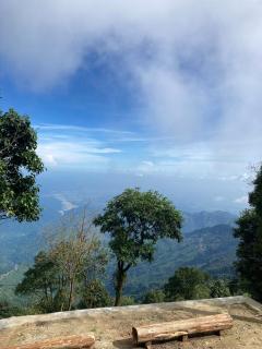 Lemos Cafe and Homestay - 9