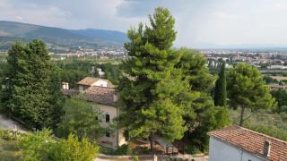 casaRegina b&b in collina - 6