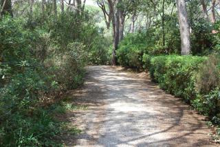 Villa Anna Maria Roccamare - 5