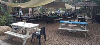 Yellowwood Forest Eco Retreat - Morganʼs Bay - 9