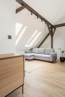 Apartamenty SWAN - Gliwice - 1