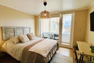 Departamento Estudio Centro Osorno - 3