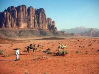 Enad desert camp - Wadi Rum - 1