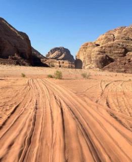 Enad desert camp - Wadi Rum - 8