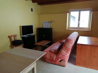Appartement confortable à Cleurie avec jardin - 4