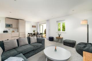 Luxury apartment with spa access on a nature reserve Goldeneye HM107 - Somerford Keynes - 1
