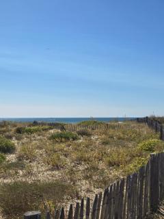 directe plage à moins de 100m - 8