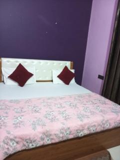 Hotel Purshottam Palace - Ayodhya - 0