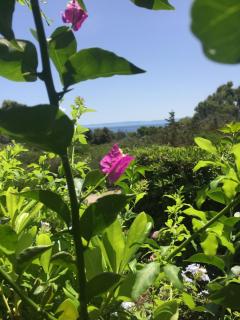 Casa Ele vista mare - Stintino - 8