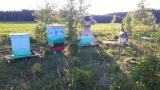 Agroturystyka Dzika Łąka apartament - - 7