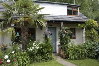 Cottage with beautiful views - dog friendly - 0