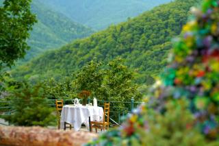 Bokneti - Guest House, Agro Tourism Destination - 6