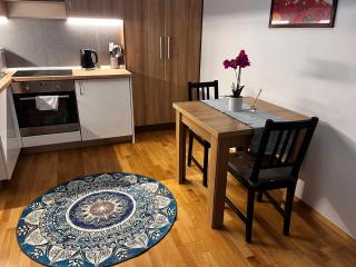 Ground floor apartments in the centre of the city - 3