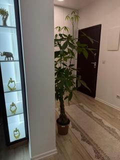 Luzora Apartments - 6