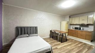 Уютная 1 комнатная квартира - Almaty - 1