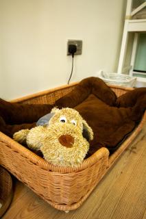 Gwens House - Brynsiencyn - 5