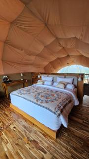 Sanctua Luxury Glamping Resort - Bedugul - 1