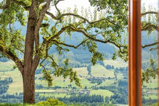 Biobergbauernhof Bergzeit Apartment - Goldegg im Pongau - 6