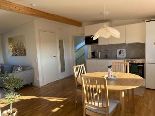 Lovely loft, centrally located - Växjö - 2