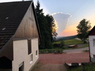 Ferien im Schwarzwald Ferienwohnung Freiamt - Freiamt - 7