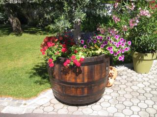 Pension Schmidt - 3