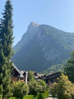 Jardin des Neiges - 11A - Samoëns - 7